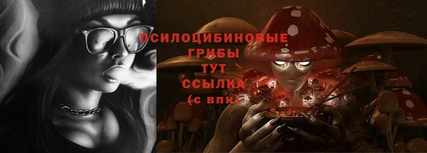 ешки Арсеньев