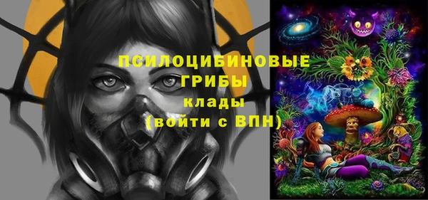 ешки Арсеньев