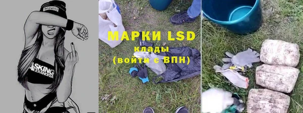ешки Арсеньев