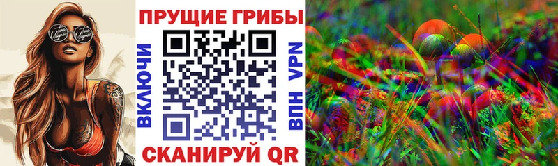 Псилоцибиновые грибы Psilocybine cubensis  кракен рабочий сайт  Отрадная 