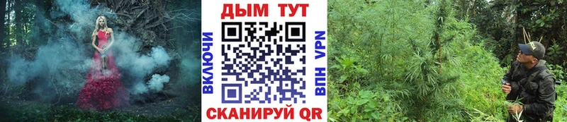 Бошки марихуана гибрид Отрадная